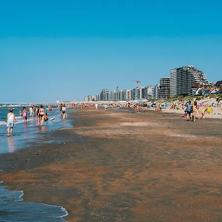 Spacious Located On The Dunes 펜션
